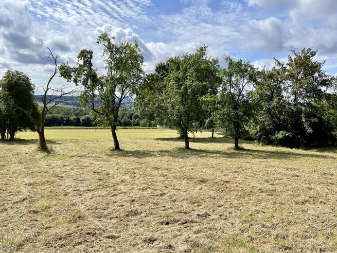 Fröndenberg/Ruhr: Eines der schönsten Grundstücke der Stadt! – Baugrundstück Fröndenberg