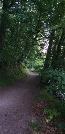 Wanderweg Schweriner See
