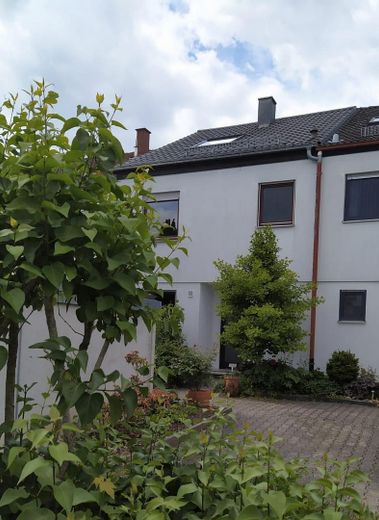 Frontansicht 1
