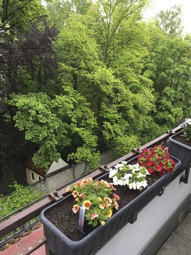 Am Klostergarten: Stadtjuwel in Landshut, Dachgeschoss, absolut ruhig, sonnig, Blick ins Grüne, zentral – Foto 11