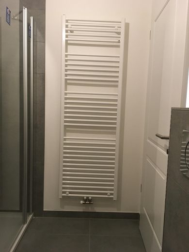 Stilvoll kernsanierte 4-Zi-Altbau-Wohnung – Badheizung