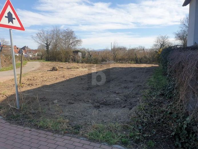 KAISERSTÜHLER IDYLLE TRIFFT FREIBURGER STADTNÄHE – Фото 1