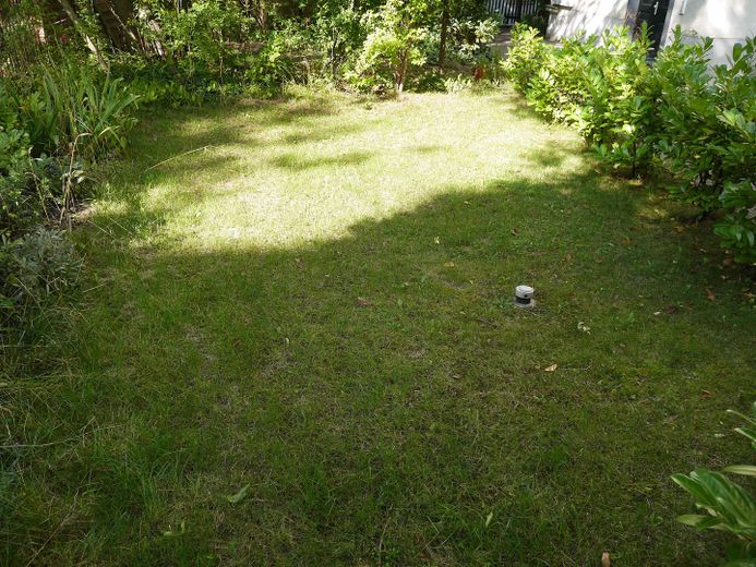DD-Cotta: Attraktive, großzügige 4-Raum-Wohnung mit Einbauküche und privatem Gartenanteil ! – Private Gartenfläche