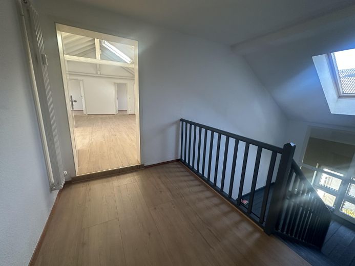 Großzügiges PENTHOUSE Mannheim Oststadt – Foto 2