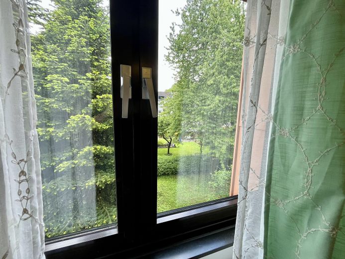 Blick in den Garten