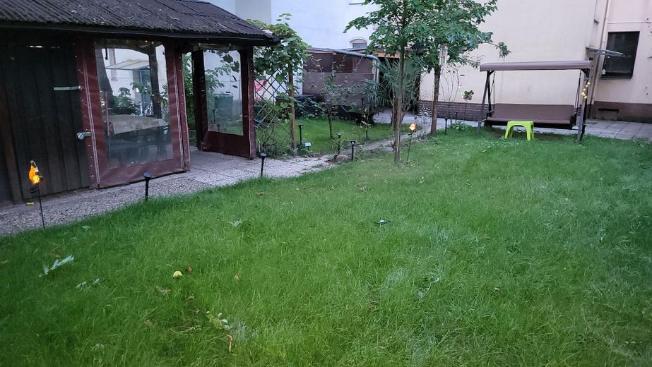 Garten Blick zum Gartenhaus