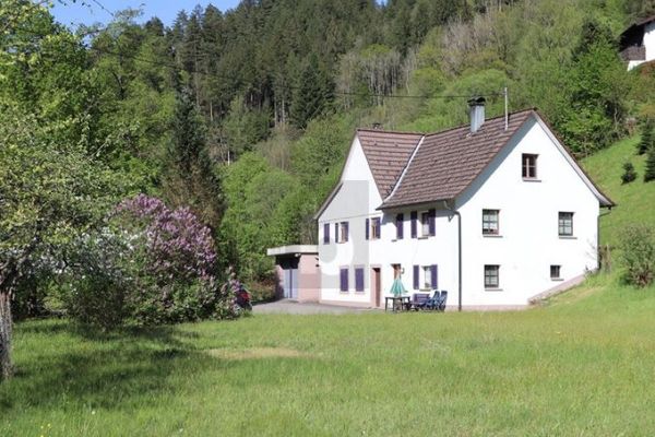 KINZIG NEHRİNİN KIYISINDA YAŞAM