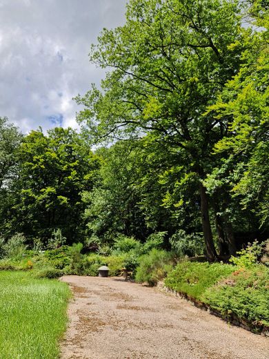 Zufahrtsweg Ansicht 3