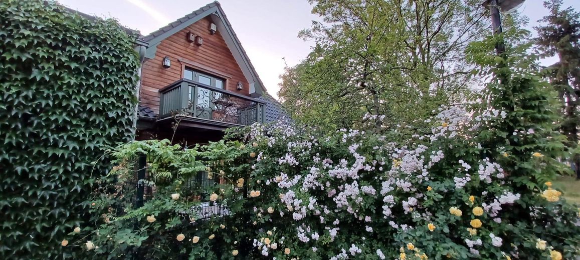 Blick auf den Balkon vom SZ