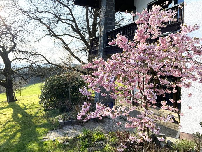 Gartenterrasse
