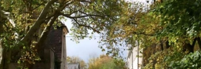 Зберегти історію — 
Формувати майбутнє
Продається лицарський маєток із великими земельними угіддями в ідилічному відокремленому місці