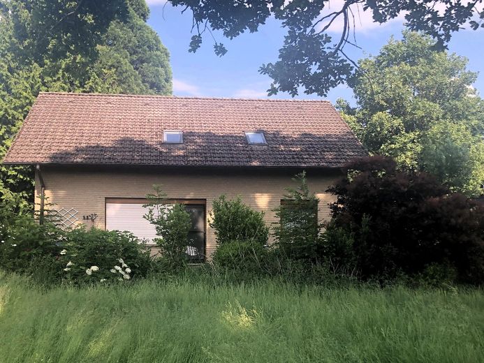 Garten im Westen