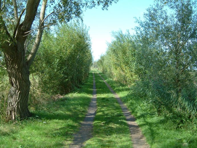 Wiesenweg zum Boddenhafen
