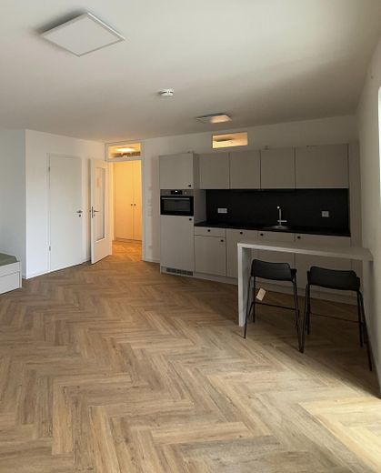 Neubau! 1-Zimmer möbliert mit EBK + Balkon + Abstellkammer + Waschmaschinenanschluss in Adlershof! – Küche 