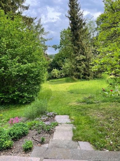 Rarität im Fichtelgebirge: Kernsanierter Bauhaus-Bungalow mit 163m² auf 7.500 m² Parkgrundstück – 12_Gartenhang-Wiese