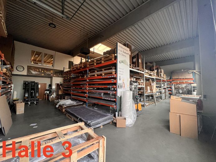 Halle 3 Hallenfläche