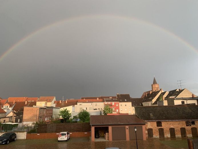 Blick auf die Marienkirche
