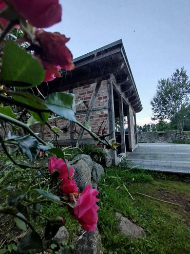 Kernsaniertes Bauerhaus unter Reet auf naturnahem Grundstück in Feldrandlage – Saunarohbau, Terrasse am Teich