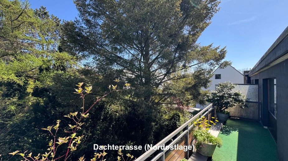 3-Zimmer-Wohnung im Staffelgeschoss mit zwei grossen Dachterrassen – provisionsfrei – Foto 18