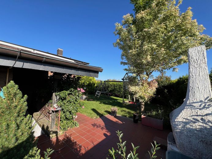 Grüner Ausblick vom Garten