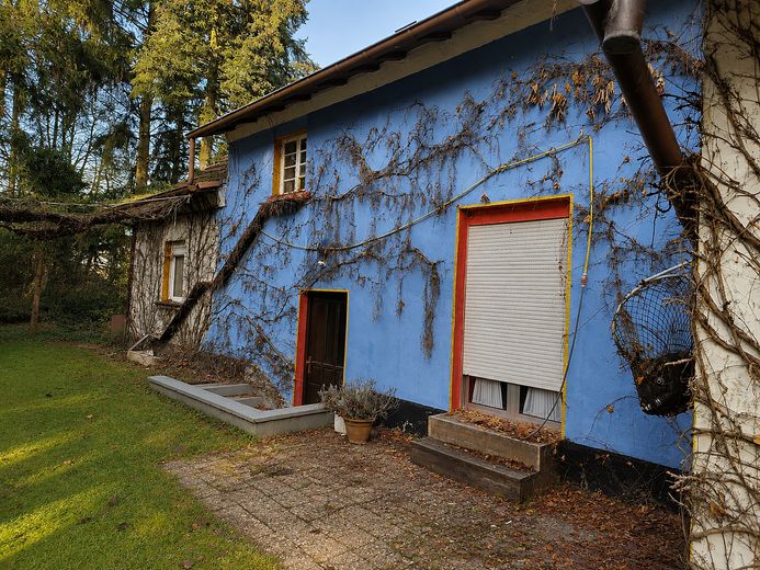 Ex locanda di campagna immersa nel verde – tanto spazio per le proprie idee – Foto 4