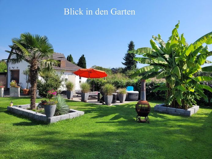 Blick in den Garten 1