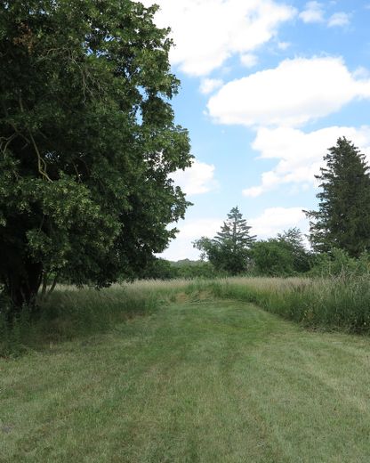 eines der letzten, erhaltenen SCHEUNENGUTSHÄUSER (mit 4-6 ha. Naturgrundstück) – Bäume auf Grundstück (2)