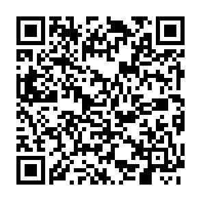 Attraktives Baugrundstück im Neubaugebiet - 415 m² in begehrter Lage! – QR-Code