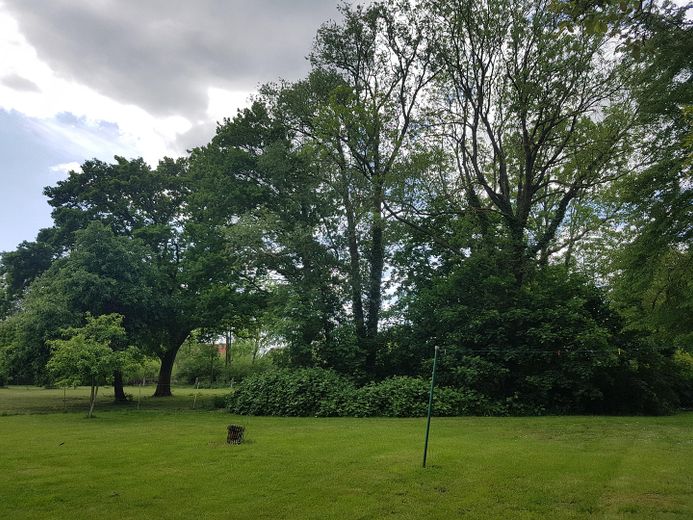 Garten rechte Hausseite