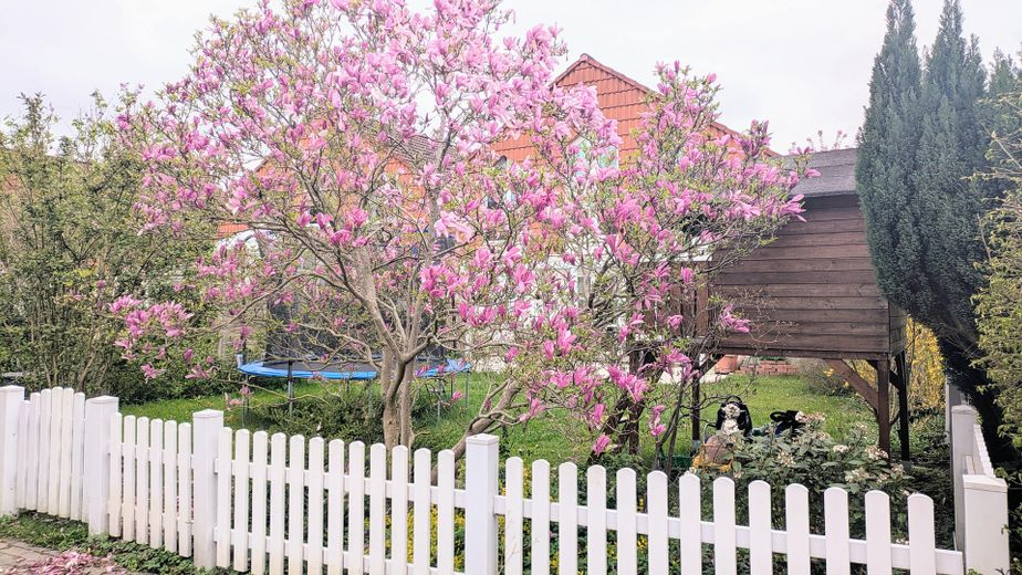 Family Happiness in the Countryside – Garten vom Weg aus