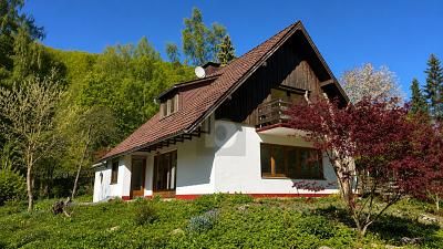 LIVING IN GREENERY – YOUR HOME AT THE EDGE OF THE FOREST – 1784283386_bf351a8.jpg