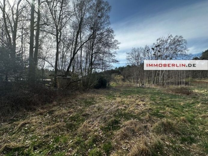 IMMOBERLIN.DE - Großes Wiesen-/Freizeitgrundstück mit Umwidmungspotential für Bauland – Foto 1