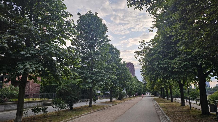 Provisionsfrei zum Sofortbezug: Attraktive, sonnige 3 Zi-Wohnung im Deutschherrnviertel – Umgebung
