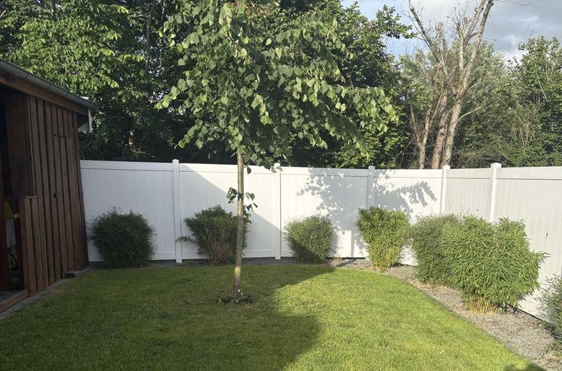 Güzel Fahrdorf’ta doğrudan Schlei manzaralı, huzur veren Friesenhaus (komisyonsuz) – Garten