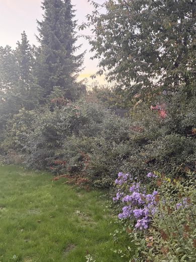 Exclusief wonen op een toplocatie in Lübeck - 160 m² woonoppervlakte op 777 m² eigen grond – Foto 27