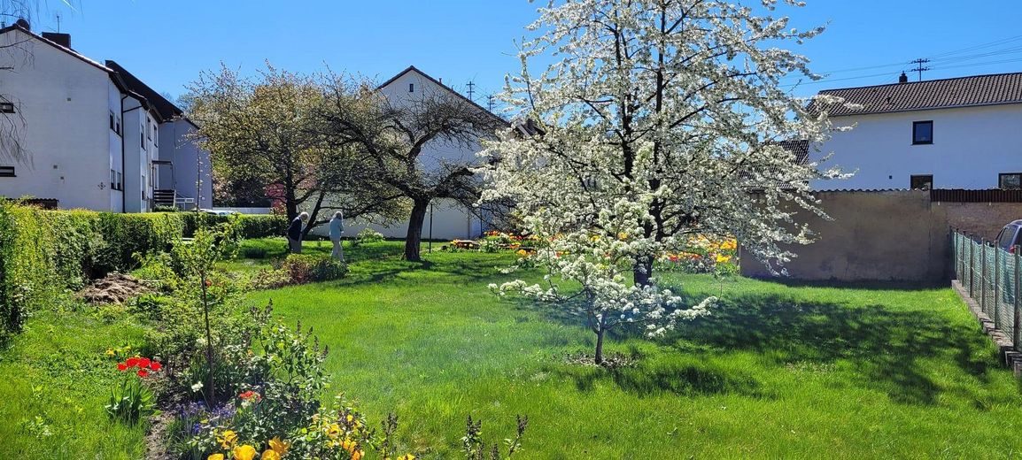 Garten Richtung Haus