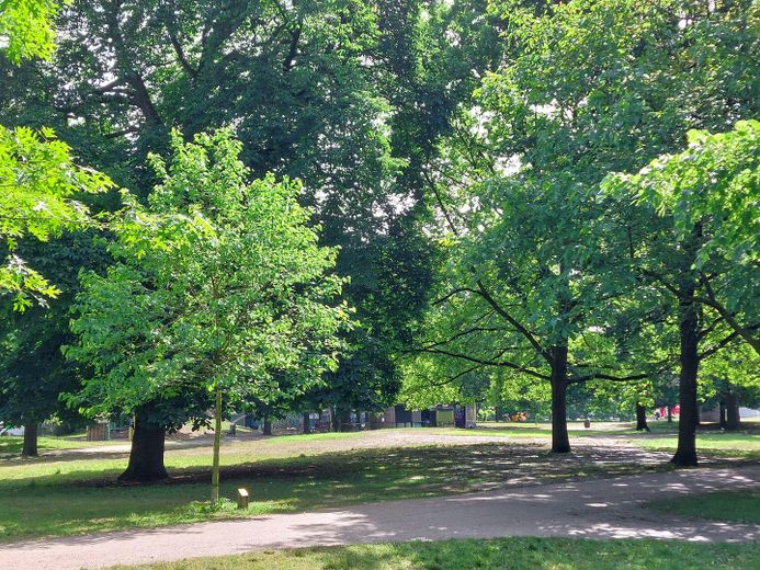 Blick in den Park