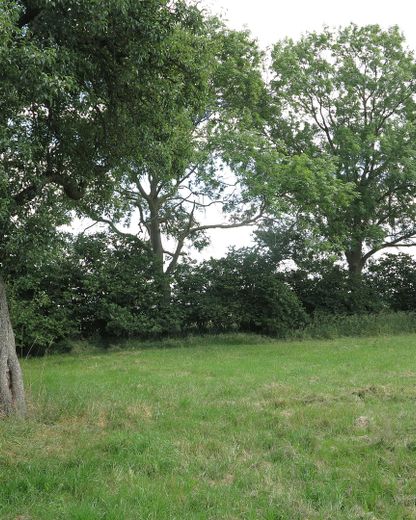 eines der letzten, erhaltenen SCHEUNENGUTSHÄUSER (mit 4-6 ha. Naturgrundstück) – 1 ha.-Grdst. Gemeinde