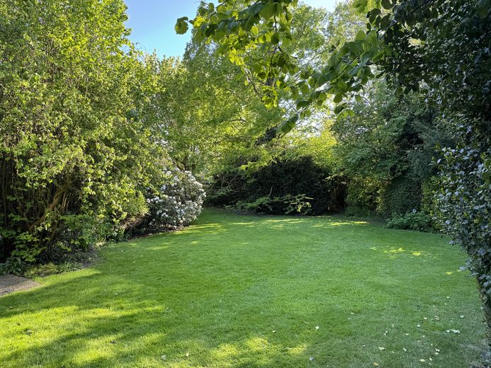 Garten 4