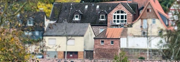 Blick vom anderen Mainufer