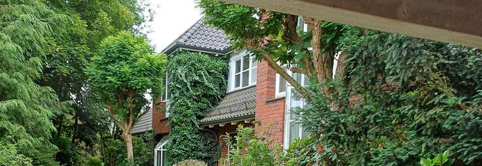 Spacious detached three-unit house in a quiet, sunny location (asking price negotiable) – Willkommen im Grünen