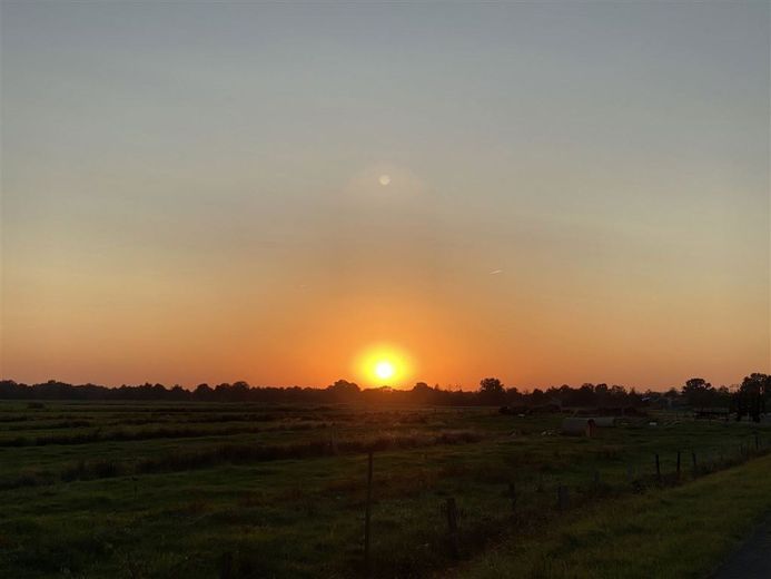 Sonnenuntergang über Grünland