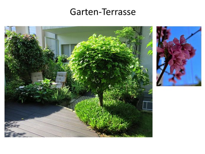 Grüne Wohlfühloase mit Südbalkon und wunderschönem Garten – Foto 6