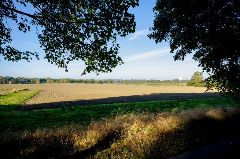 Landschaft