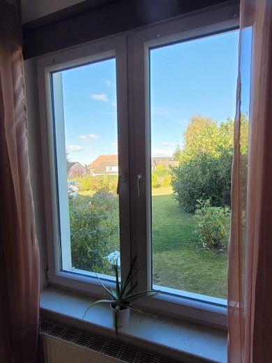 Fenster Wohnzimmer