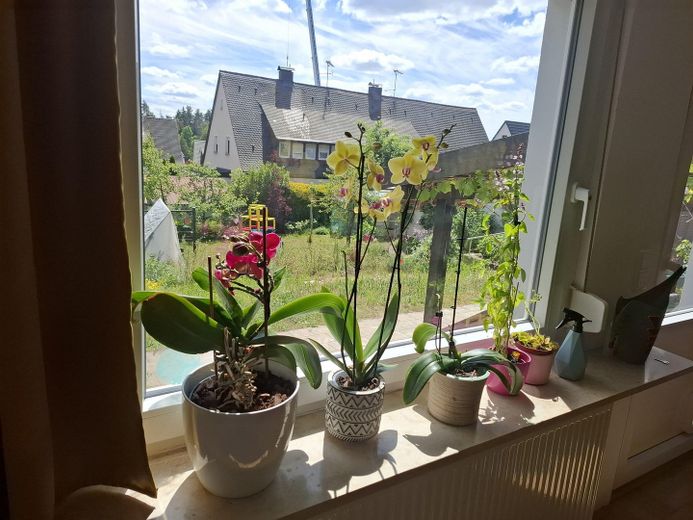 Blick in den Garten