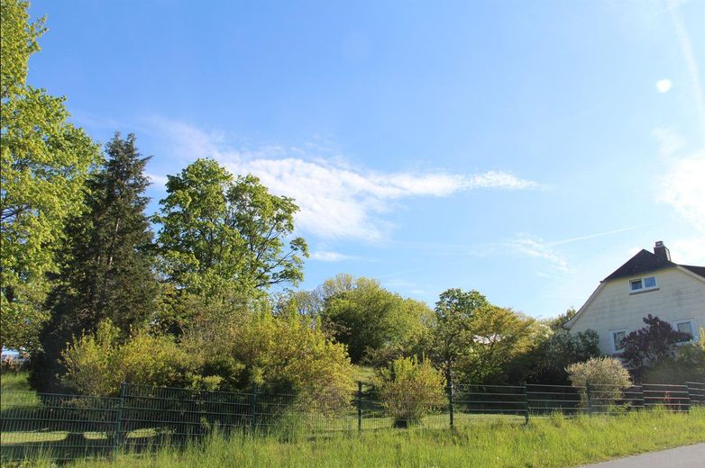 Idyllisch Wohnen - freier Blick ins Grüne und viel Raum für Gestaltung und Freizeit – Haus von Südwest
