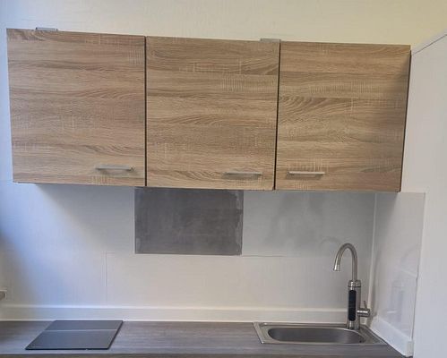 One Room Appartment with Toilette, Shower, Kitchen etc inside