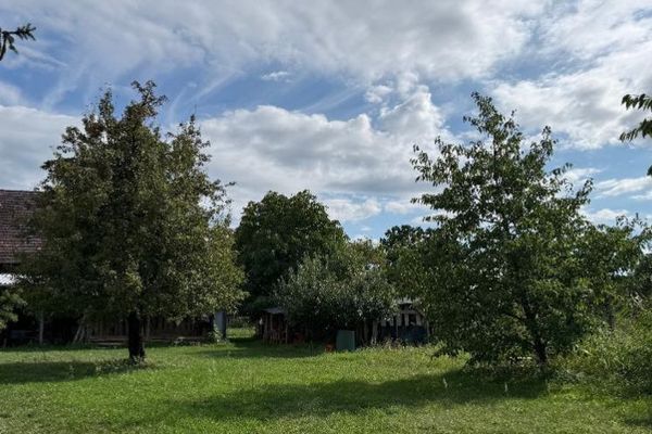 Ruhig gelegen im Ortskern von Alt Zauche