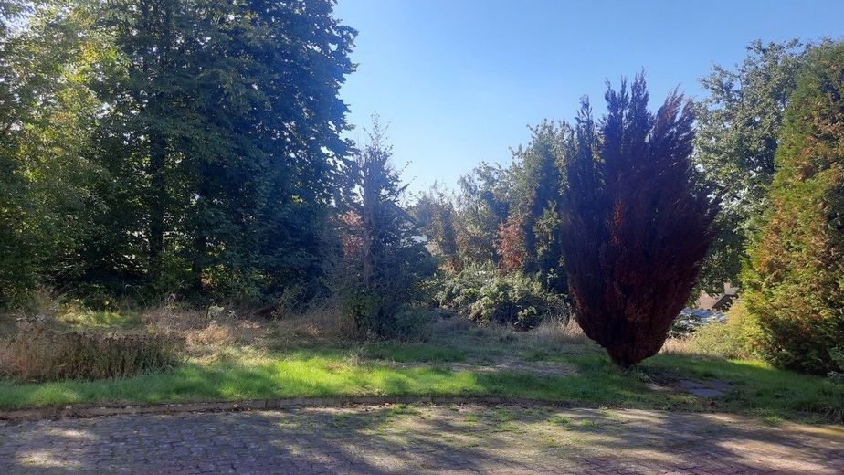 Stadthaus zum Wohlfühlen mit Keller in Waldbröl - Energiesparhaus EH 55 GEG – Baugrundstück